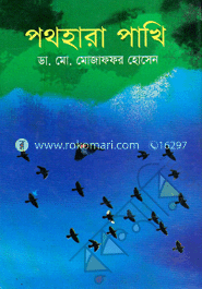 পথহারা পাখি image