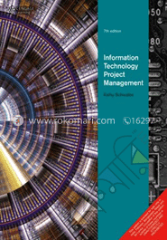 Information Technology Project Management image