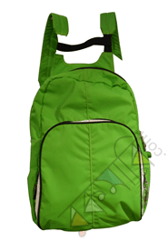 Exclusive Light Green Color Backpack Bag (Code-145) image