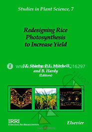 Redesigning Rice Photosysthesis to Increase Yield image