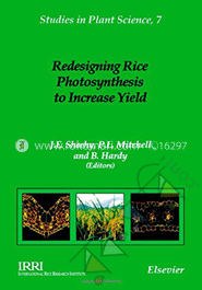 Redesigning Rice Photosysthesis to Increase Yield 