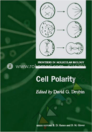 Cell Polarity : Frontiers in Molecular Biology image