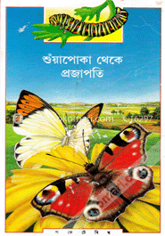 শুঁয়াপোকা থেকে প্রজাপতি image