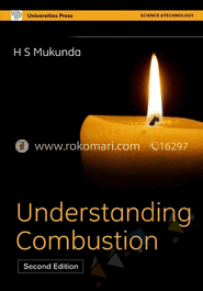 Understanding Combustion image