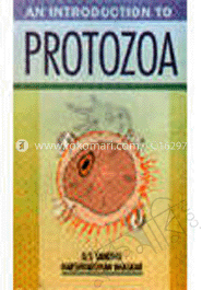 An Introduction to Protozoa image