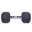 10 Kg Hex Dumbbell 1 Pair -Total 20 Kg image