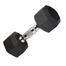 12.5Kg Hex Dumbbell 1 Pair Total 25Kg - Black image