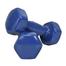 1 Kg Vinyl Dumbbell - 1 Pair image