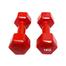 1 Kg Vinyl Dumbbell - 1 Pair image