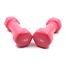 1 Kg Vinyl Dumbbell - 1 Pair image