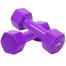 1 Kg Vinyl Dumbbell - 1 Pair image