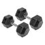 20 KG Hex Dumbbell Pair Total 40 KG image