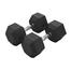 20 KG Hex Dumbbell Pair Total 40 KG image