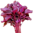 20 Type Vegetable and spicy seed Combo offer image