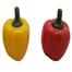 2 Capsicum Dining Table Cruet Set with Stand for Salt Pepper and Seasoning image