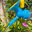 2 In 1 Bottle Cap Sprinkler Dual Head Bottle Watering Spout Double Watering Nzzule For Indoor Scedling Plant Garden image