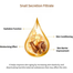 3W Clinic Snail Peptide Ball Eye Serum 30 ml Korea image