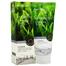 3W Clinic Green Tea Lovely Cleansing Foam image