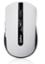 Rapoo Wireless Optical Mouse (7200P) image