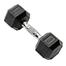 5 KG Rubber Dumbbell Hexagonal Shape 1 Pcs image