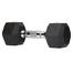 5 kg Hex Dumbbell 1 Pair image