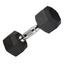 5 kg Hex Dumbbell 1 Pair image