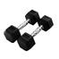 5 kg Hex Dumbbell 1 Pair image