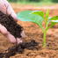 Black Booster Vermi Compost Fertilizer for Any Plant 5 kg image