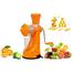 APEX Manual Hand Fruit And Vegetable Juicer image