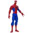 Action Figure Hasbro Spider-Man Titan Hero Series image