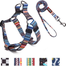 Adjustable Large Breed Dog Body Harness and Leash image