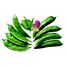 All Season Kartika Shim Seeds image