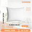 Allora Small Size Cushion Filler 14x14 Inch image