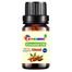 Almond (Kath Badam) Essential Oil -10ml image