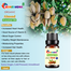 Almond (Kath Badam) Essential Oil -10ml image