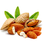 Almond Nut (Kath Badam) - 500gm image