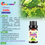 Amla (Amloki) Essential oil -10ml image