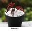 Brikkho Hat Angel Wings Begonia With 10 Inch Plastic Pot image