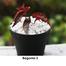 Brikkho Hat Angel Wings Begonia With 12 Inch Plastic Pot image