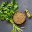 Aromatic Coriender Seeds Re-Pack - 5gm image