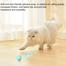 Automatic Rolling Electric Cat Moving Ball Toys image