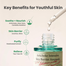 Axis Y Artichoke Intensive Skin Barrier Ampoule-30ml image