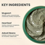 Axis Y Mugwort Pore Clarifying Wash Off Pack - 100ml image