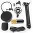 Powerpak BM 800 Condenser Microphone Set: XLR to 3.5mm Cable, Pop Filter, Foam Cover, Shock Mount, Stand, Clip image