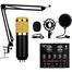 Powerpak BM 800 Studio Microphone Kits With Filter V8 Sound Card Condenser Microphone Bundle Record Ktv Karaoke Smartphone Microphone image