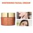 BREYLEE Vitamin C Whitening Facial Cream - 40g image