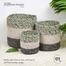 Baah’s Light Green and Gray Jute Rug 02 and Pots Combo – 4′ diameter image