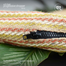 Baah's from 70's Fanny pack (Mustard) image