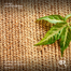 Baah’s natural living rectangle jute placemat (set of six) image