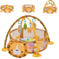 Baby Activity Gym And Ball Pit Infant Play Lion Mat with 4 Hanging Toy 30 Colorful Balls 4 in1 image